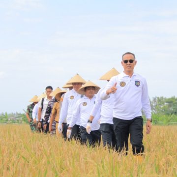 Kanwil Ditjenpas Jatim Apresiasi Panen Raya Padi di SAE Lapas Banyuwangi