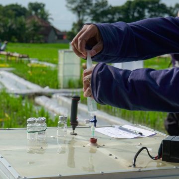 Efisiensi Operasional, Petani Banyuwangi Manfaatkan Pompa Air Tenaga Surya Ramah Lingkungan