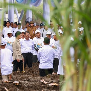 Tinjau Perkebunan Tebu IGG di Banyuwangi, Wapres Gibran Pastikan Pemerintah Bantu Petani