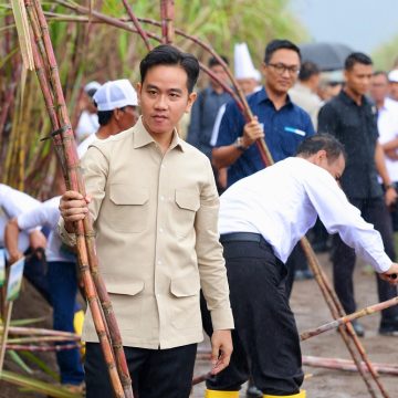 Tahun 2027, Pusat Targetkan Bisa Swasembada Gula