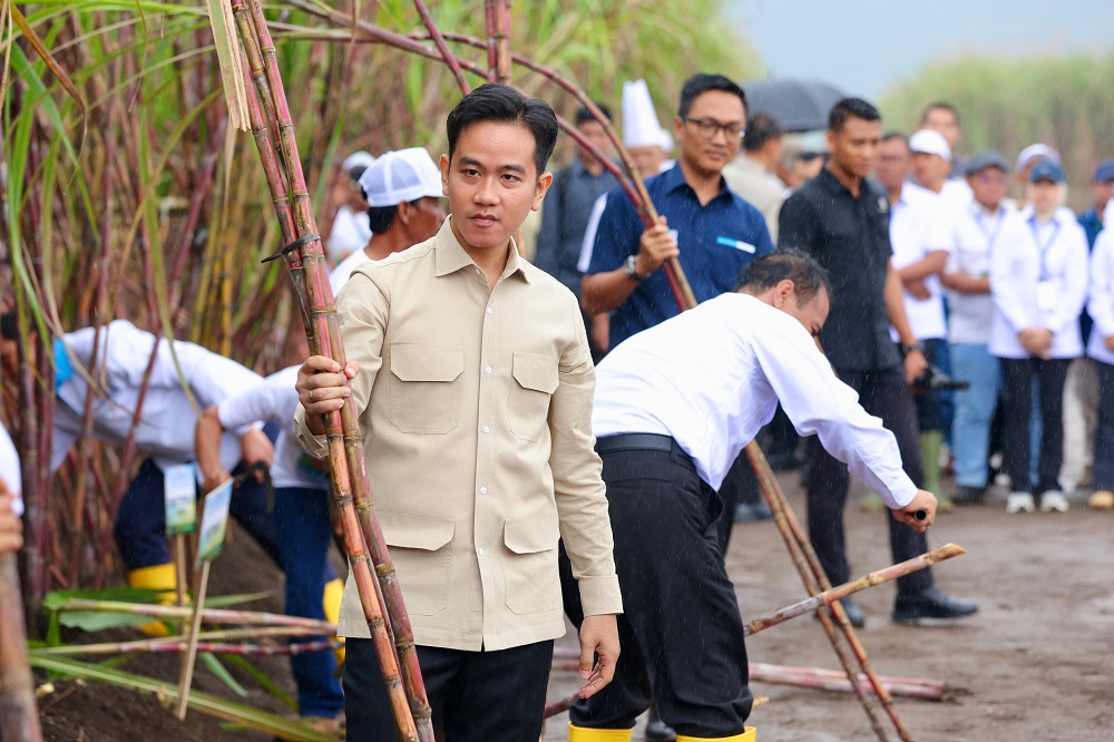 2025-06-23-tebu Tahun 2027, Pusat Targetkan Bisa Swasembada Gula