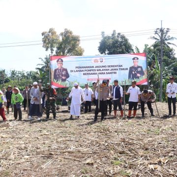 Dukung Ketahanan Pangan, Polresta Banyuwangi Kolaborasi Ponpes Tanam Jagung