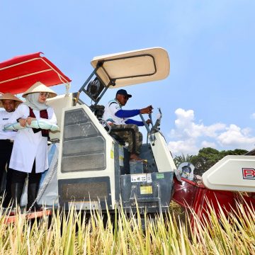 Petani Banyuwangi Rasakan Program Ketahanan Pangan Presiden Prabowo : Dongkrak Produksi Mereka