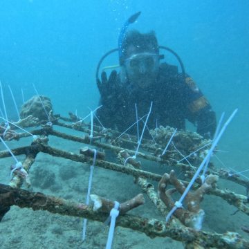 2025-10-10-lanal Jaga Kelestarian Laut, TNI AL Banyuwangi Lakukan Restorasi Terumbu Karang