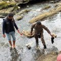Tersangkut Batu Aliran Sungai, Mayat Bayi di Evakuasi ke RSUD Blambangan Banyuwangi