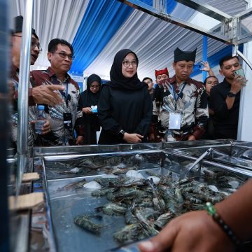 Bahas Ekspor ke AS, Ratusan Pelaku Industri Udang Berbagai Daerah di Indonesia Kumpul di Banyuwangi