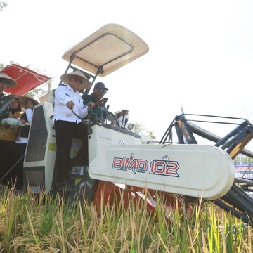 Dukung Swasembada Pangan Presiden, Pemkab dan Pupuk Kaltim Panen Demplot Padi di Banyuwangi