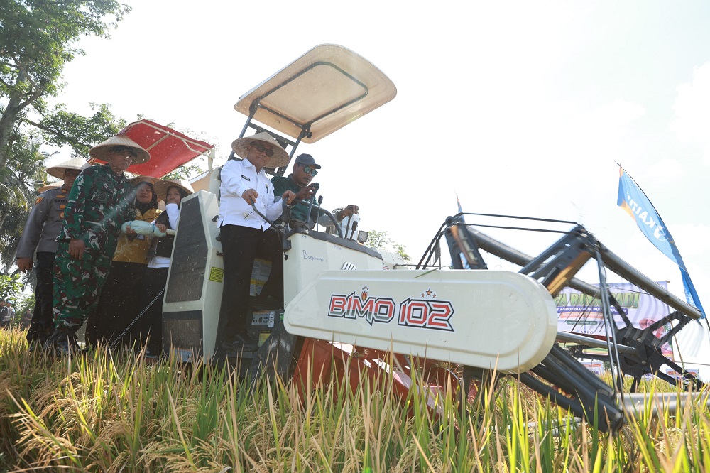 2025-10-24-padi Dukung Swasembada Pangan Presiden, Pemkab dan Pupuk Kaltim Panen Demplot Padi di Banyuwangi