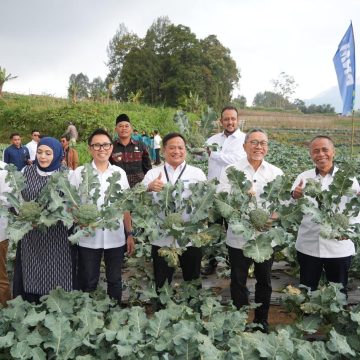 Kunjungi Rumah Pangan PNM, Menko Zulkifli Hasan Panen Brokoli hingga Ayam Petelur