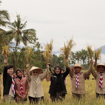 Pada 2025, Produksi Jagung dan Padi di Banyuwangi Surplus Signifikan