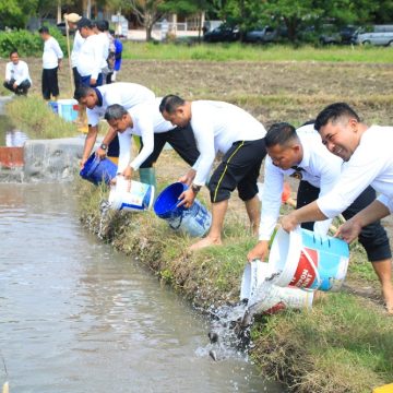 Program Ketahanan Pangan Berlanjut, Komoditas di Lahan SAE Pakis Lapas Banyuwangi Semakin Beragam
