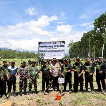 Dorong Reforestasi, Banyuwangi Tanam Ratusan Ribu Pohon 