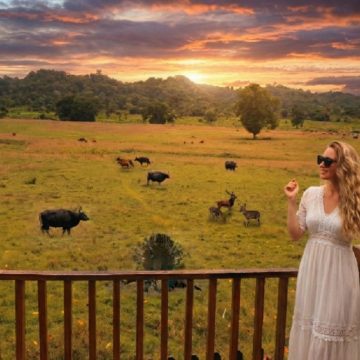 Tembus 3,7 Juta Orang, Kunjungan Wisatawan 2025 di Banyuwangi Naik 7,25 Persen