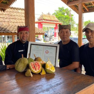 Durian Merah Banyuwangi Ditetapkan Sebagai Indikasi Geografis Pertama di Indonesia