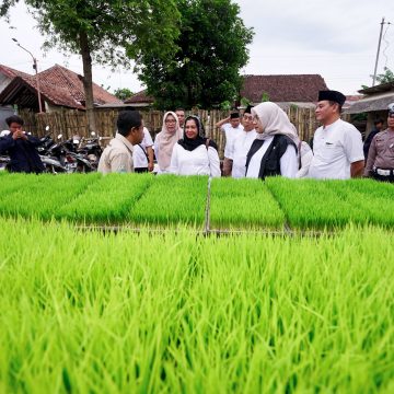 Dukung Swasembada Pangan, Banyuwangi Libatkan Anak Muda dalam Penerapan Alsintan Pertanian