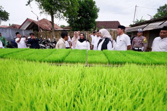 1000731243 Dukung Swasembada Pangan, Banyuwangi Libatkan Anak Muda dalam Penerapan Alsintan Pertanian