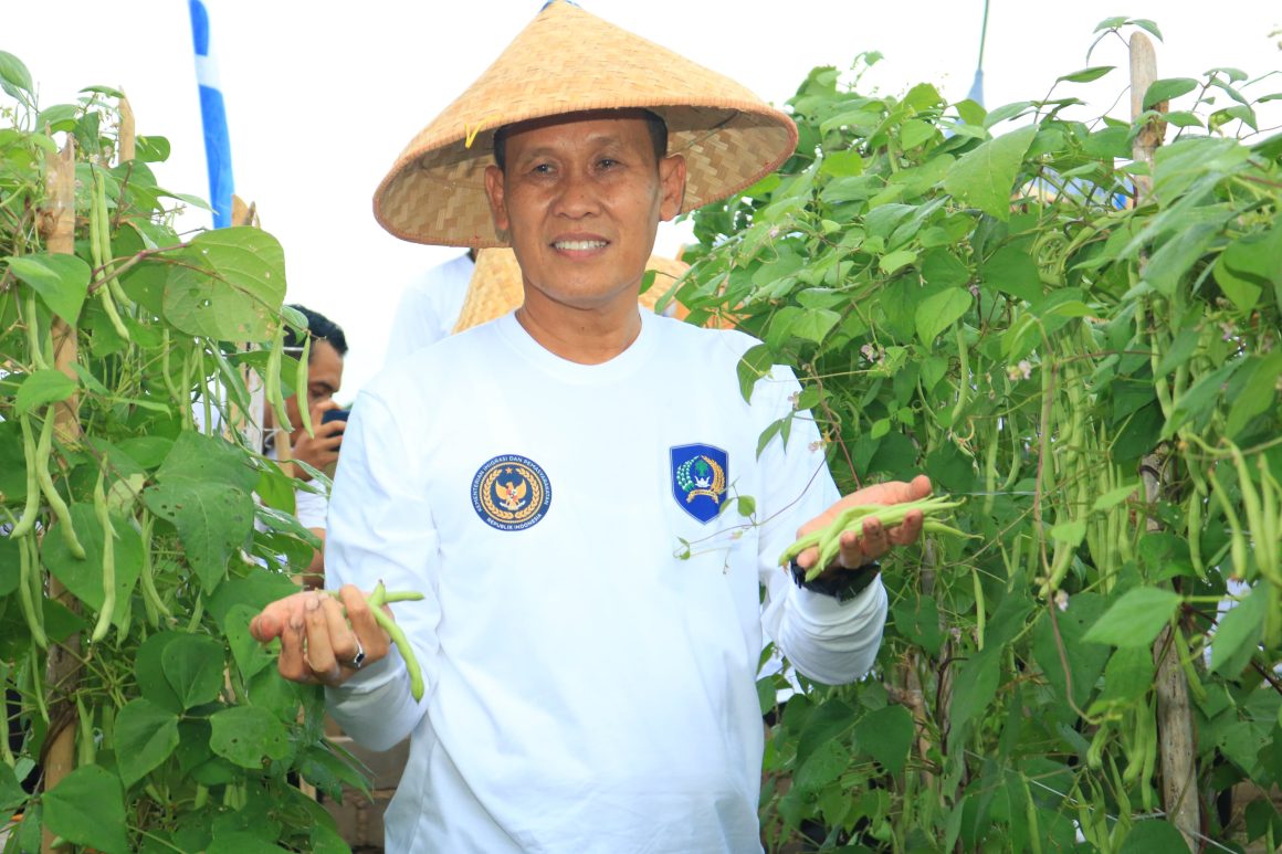 Panen Padi dan Sayuran di SAE Paswangi, Kakanwil Ditjenpas Jatim Puji Inovasi Pembinaan Lapas Banyuwangi