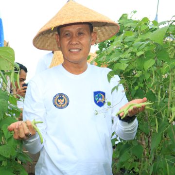 Panen Padi dan Sayuran di SAE Paswangi, Kakanwil Ditjenpas Jatim Puji Inovasi Pembinaan Lapas Banyuwangi
