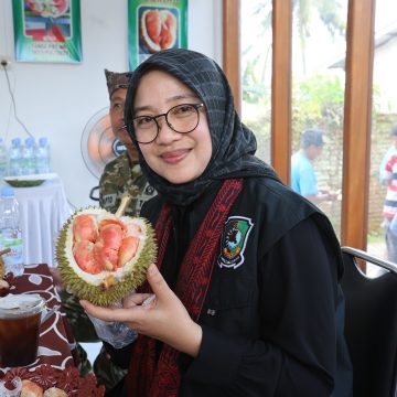 Festival Durian Songgon, Cara Desa Songgon Banyuwangi Angkat Potensi Lokalnya