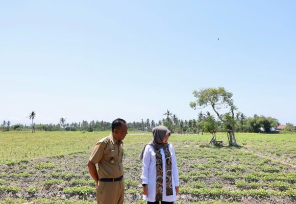Banyuwangi Siapkan Satgas Antisipasi Kemarau Panjang