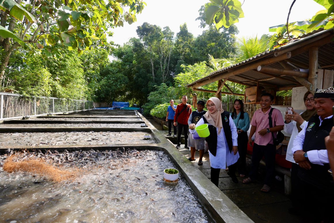 Dengan Teknik Air Jernih, Pemuda Desa di Banyuwangi Raup Omset Ratusan Juta dari Budidaya Lele
