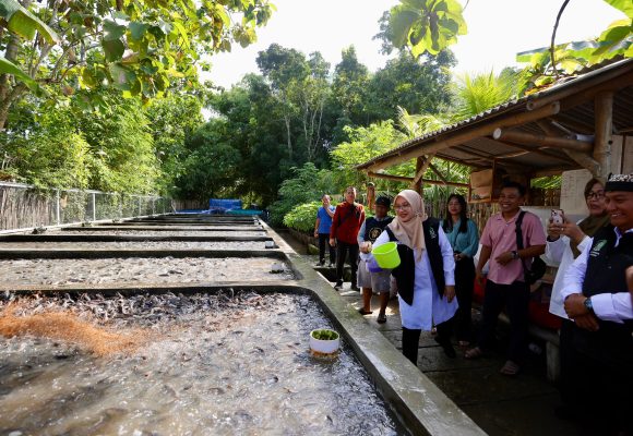 Dengan Teknik Air Jernih, Pemuda Desa di Banyuwangi Raup Omset Ratusan Juta dari Budidaya Lele