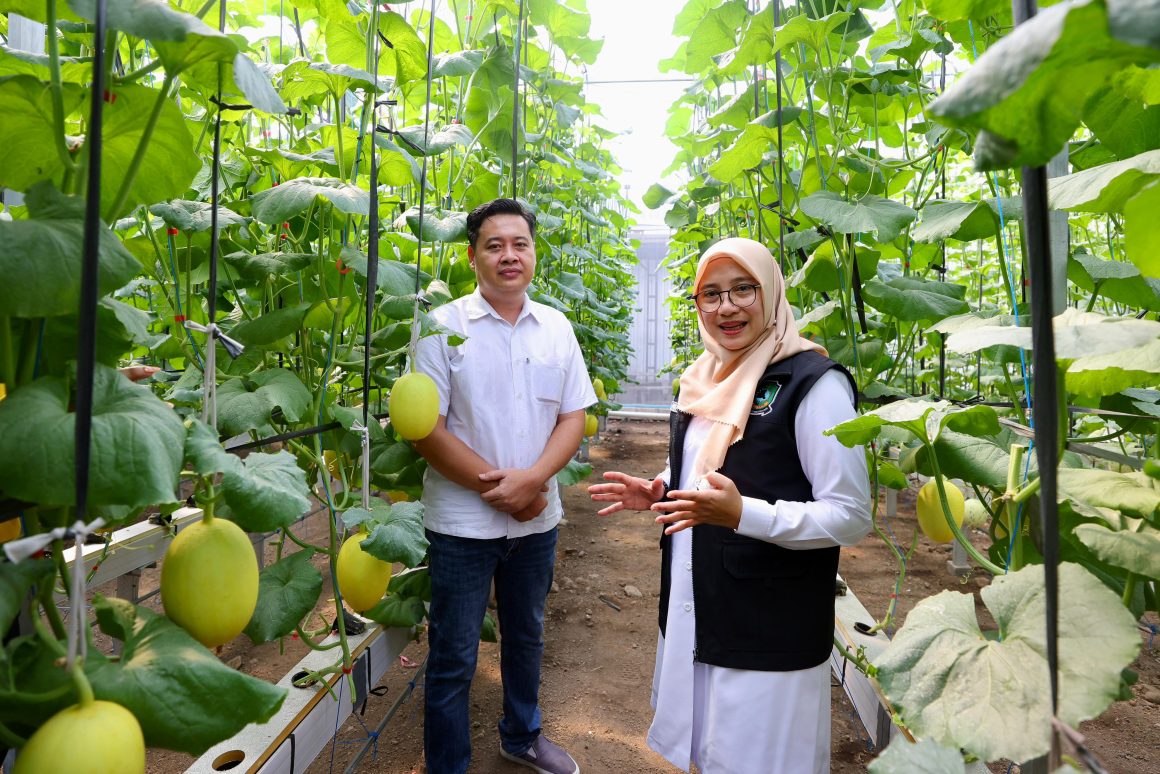 Program Bupati Ipuk Regenerasi Petani Berhasil, Kini Banyak Anak Muda Banyuwangi Berkreasi di Pertanian