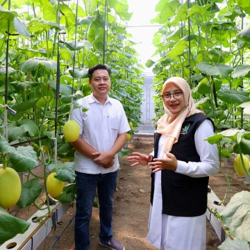 1000822648 Program Bupati Ipuk Regenerasi Petani Berhasil, Kini Banyak Anak Muda Banyuwangi Berkreasi di Pertanian