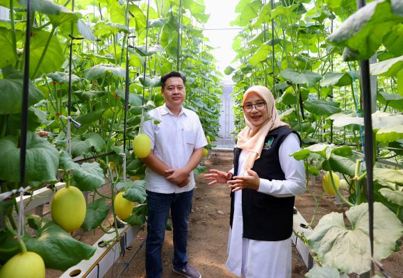 Program Bupati Ipuk Regenerasi Petani Berhasil, Kini Banyak Anak Muda Banyuwangi Berkreasi di Pertanian