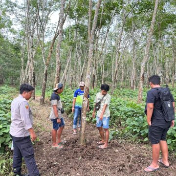 Ungkap Kasus Pencurian Sapi dan Penadahan, Satreskrim Polresta Banyuwangi Amankan Dua Tersangka