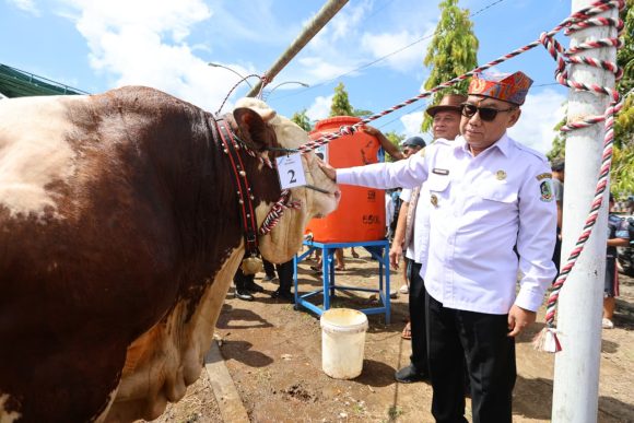 Parade Sapi Jumbo di Kontes, Pameran, dan Bursa Ternak, Ajang Promosi Ternak Unggul Banyuwangi