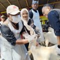 Banyuwangi Mulai Cek Kesehatan Hewan Kurban Jelang Idul Adha