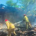 Diduga Karena Obat Nyamuk Bakar, Rumah Milik Nenek di Wongsorejo Ludes Terbakar