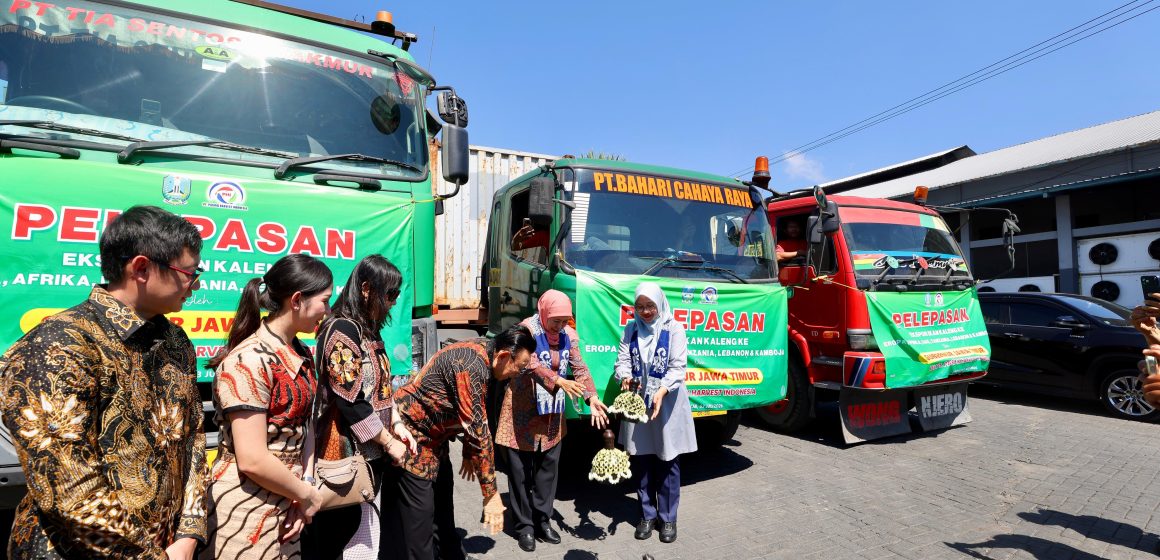 1000927568 Banyuwangi Sukses Ekspor Sarden Senilai Rp10 Miliar ke Berbagai Negara