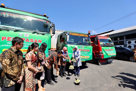 1000927568 Banyuwangi Sukses Ekspor Sarden Senilai Rp10 Miliar ke Berbagai Negara
