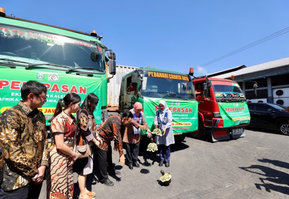 1000927568 Banyuwangi Sukses Ekspor Sarden Senilai Rp10 Miliar ke Berbagai Negara