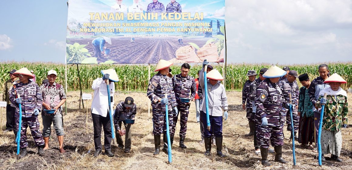 1000982400 TNI AL dan Pemkab Banyuwangi Kelola 1.200 Hektare Lahan untuk Dukung Produksi Kedelai Nasional