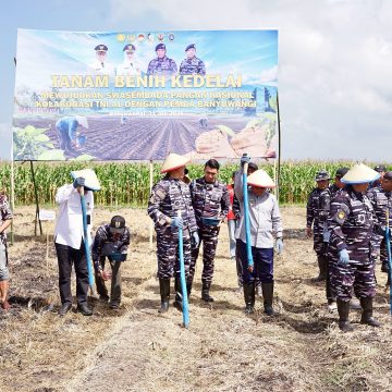 1000982400 TNI AL dan Pemkab Banyuwangi Kelola 1.200 Hektare Lahan untuk Dukung Produksi Kedelai Nasional