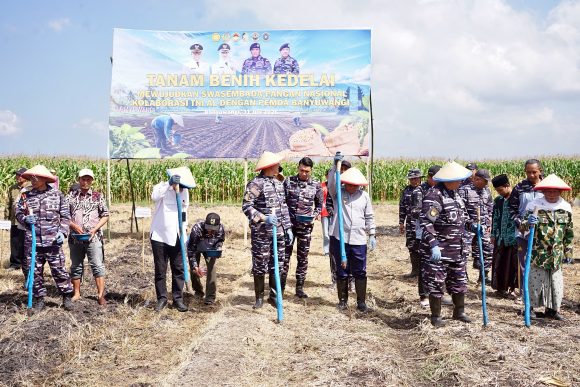 TNI AL dan Pemkab Banyuwangi Kelola 1.200 Hektare Lahan untuk Dukung Produksi Kedelai Nasional