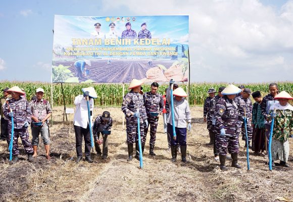 TNI AL dan Pemkab Banyuwangi Kelola 1.200 Hektare Lahan untuk Dukung Produksi Kedelai Nasional