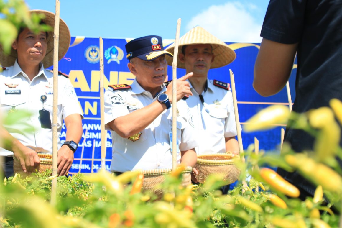 Dukung Ketahanan Pangan, Kakanwil Ditjenpas Jatim Hadiri Panen Jagung dan Cabai di Lahan SAE Paswangi