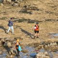 Terkendala Gelombang Tinggi di Pantai Pulau Merah, SAR Turunkan Drone Thermal Cari Pemancing Tenggelam