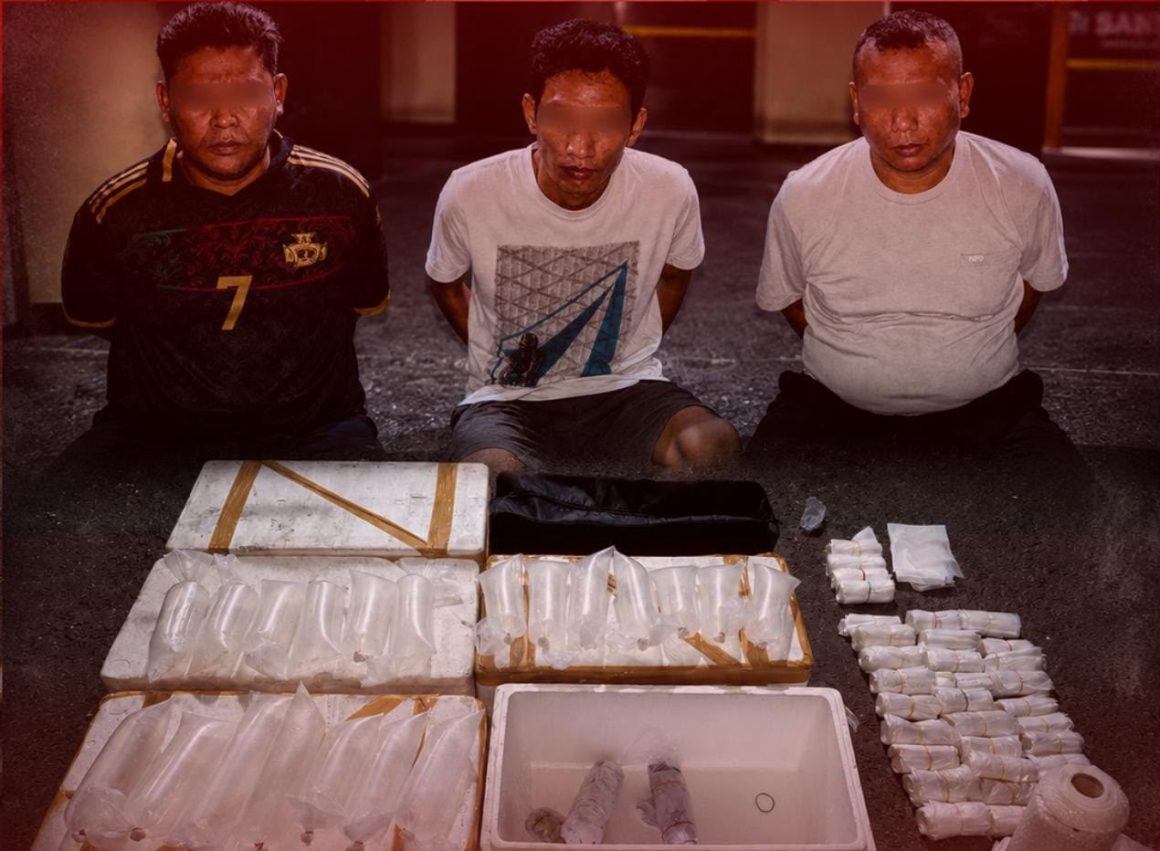 IMG-20260729-WA0016 Polresta Banyuwangi Gagalkan Penyelundupan 23 Ribu Benih Lobster