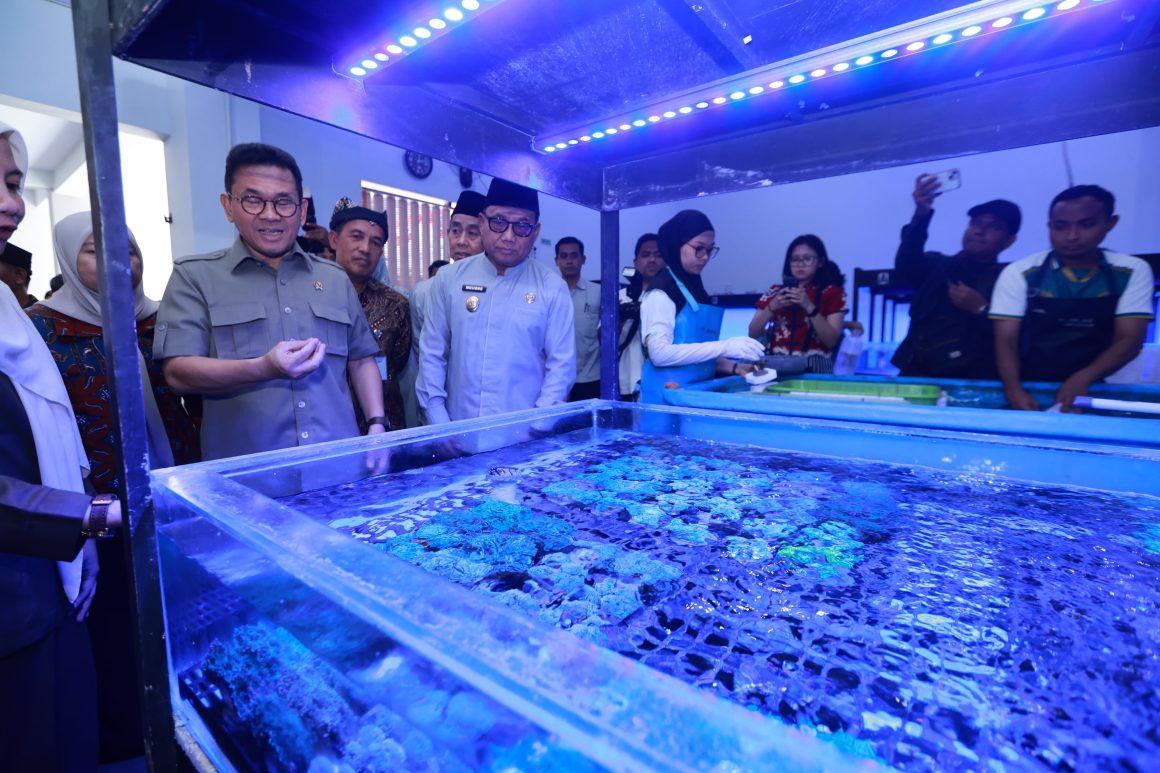 1001033518 Ekspor ke 20 Negara, Koral Budidaya Banyuwangi Diminati Pasar Global