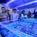 Ekspor ke 20 Negara, Koral Budidaya Banyuwangi Diminati Pasar Global