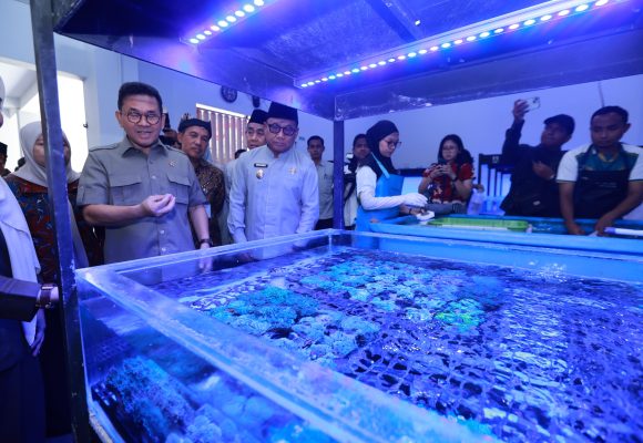 1001033518 Ekspor ke 20 Negara, Koral Budidaya Banyuwangi Diminati Pasar Global