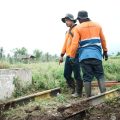 KAI Daop 9 Jember Perkuat Keselamatan, Tutup Perlintasan Liar dan Larang Pembuatan Akses Melintas Jalur KA