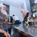 Rumah Sakit Hewan Banyuwangi Kini Dilengkapi Layanan Khusus Penyakit Dalam dan Bedah Hewan