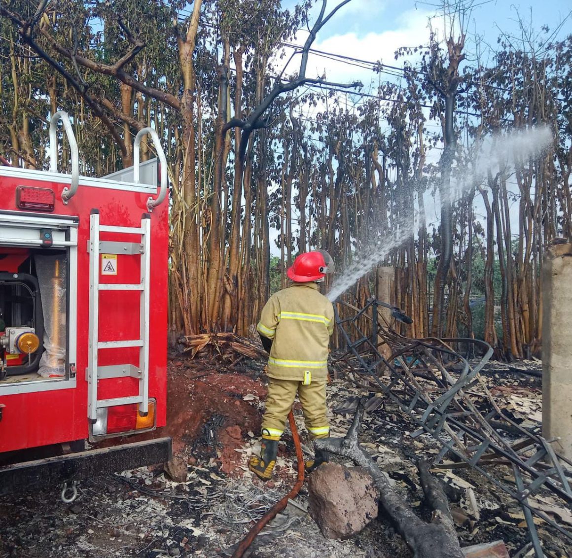 28 Ribu Ekor Ayam Mati Terpanggang, Kerugian Capai 2,5 Miliar