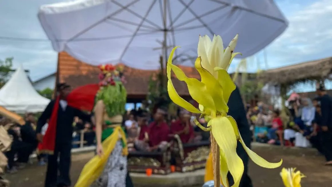 Filosofi Mendalam Kembang Dermo, Jiwa Spiritual Sakral di Balik Pagelaran Gandrung Sewu 2026